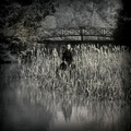 Lullabies Of The Leaves